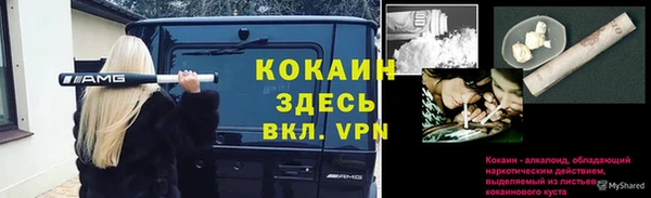 ГАЛЛЮЦИНОГЕННЫЕ ГРИБЫ Нязепетровск