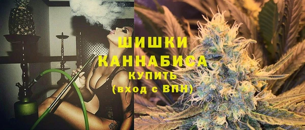 гидра Богородицк